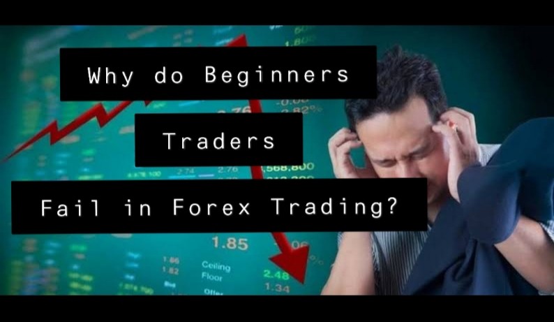 Beginners Traders Fail