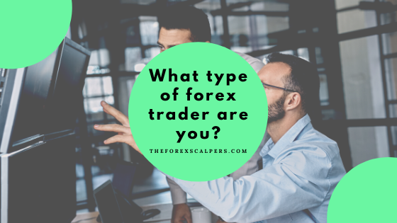 what type of forex trader are you