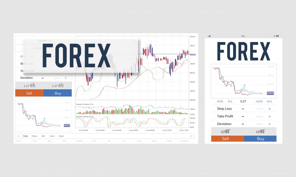 How Important are Pips in Forex? - Learn Forex Trading Online