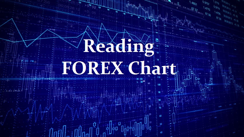 Learning Forex Charts