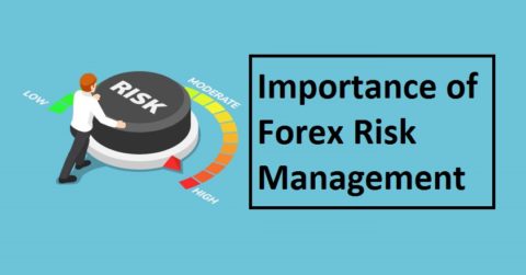 Learn The Importance Of Forex Risk Management - The Forex Scalpers