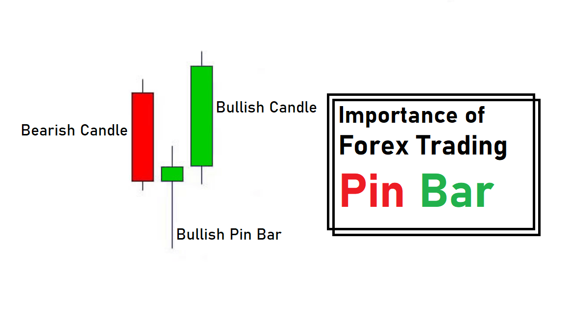 Forex Trading Pin Bar