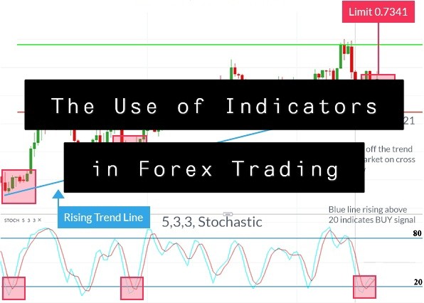 The Use of Indicators in Forex Trading