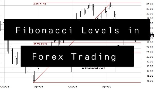 How to Use Fibonacci Levels in Forex Trading?