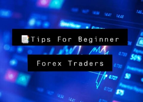 Traders / Tips For Beginner Forex Traders - theforexscalpers