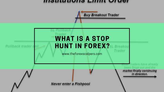 What is a stop hunt in forex?
