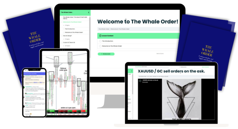 Orderflow trading course